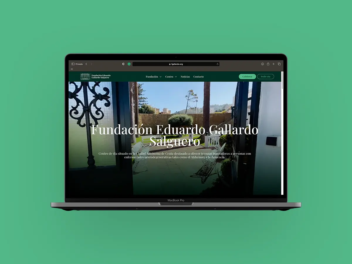 Imagen de la nueva web de la Fundación Gallardo elaborada por Bout.